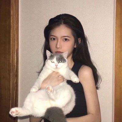 战车少女续作游戏下载
